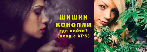 прущие крисы Вяземский