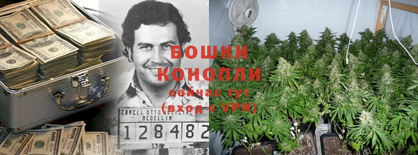 прущие крисы Вяземский