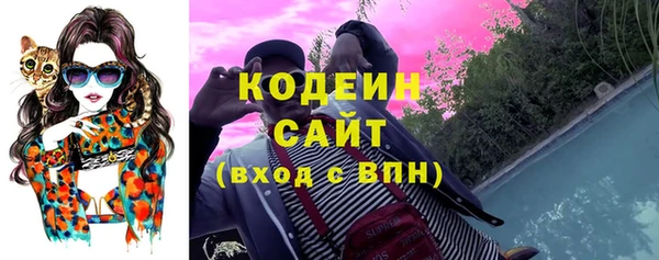 прущие крисы Вяземский