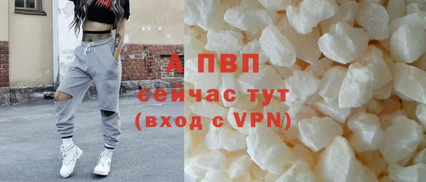 прущие крисы Вяземский
