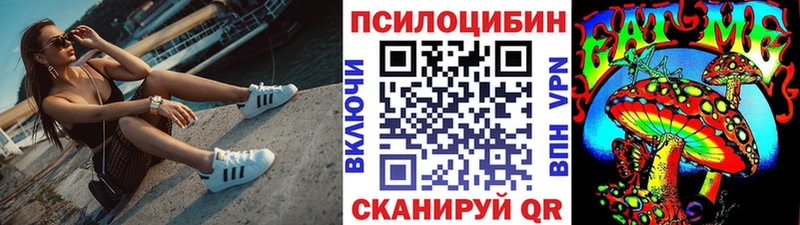 Купить  Радужный  Псилоцибиновые грибы Psilocybe 